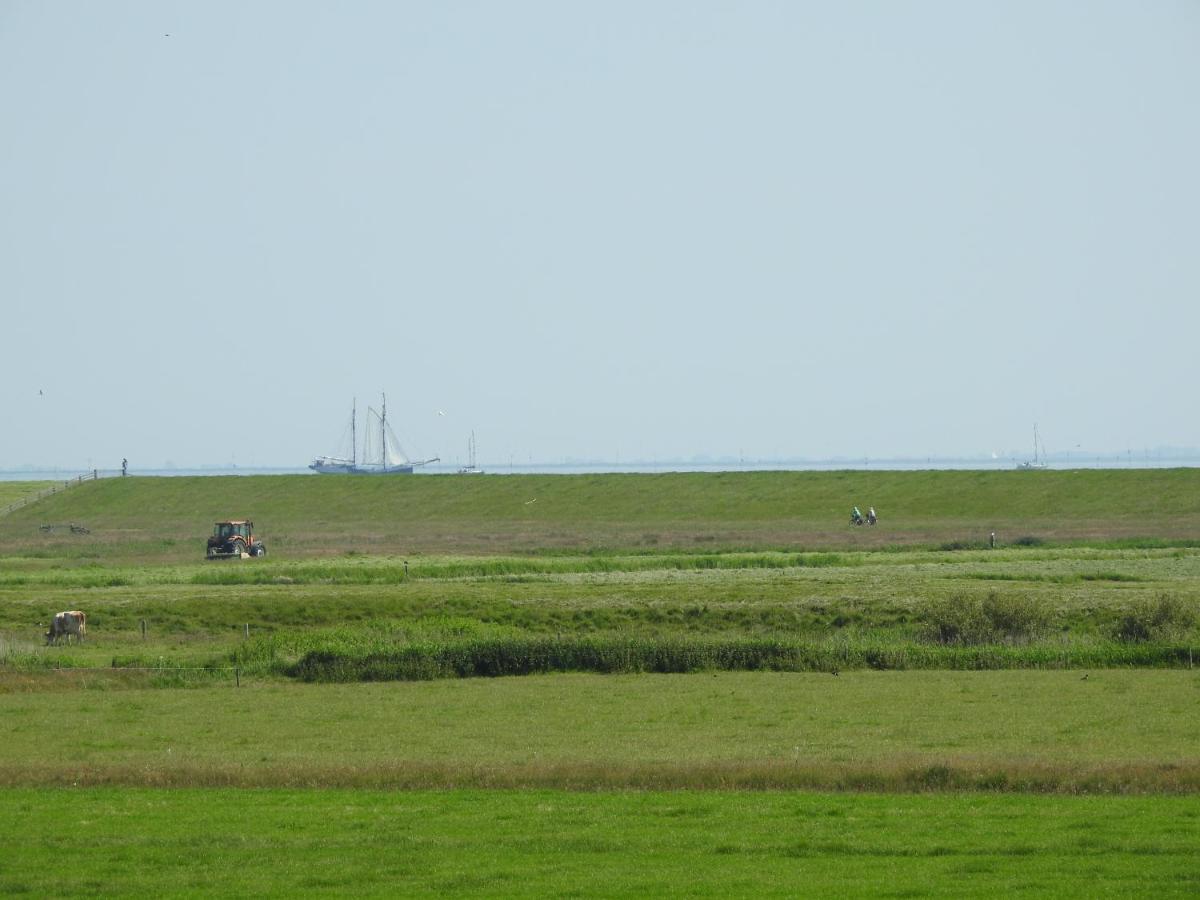 De Stormvogel Baaiduinen